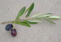 Hydrogenated Olive Oil Unsaponifiables