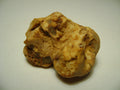 Tuber Magnatum Extract